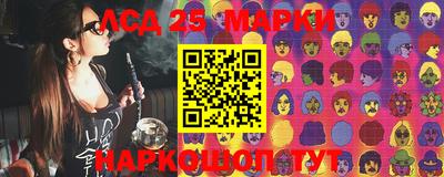 индика Аргун