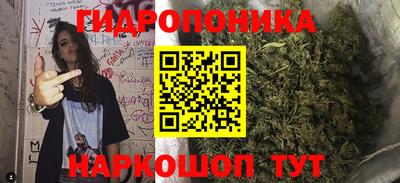 индика Аргун