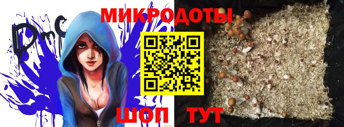Выкса  Галлюциногенные грибы Psilocybine cubensis  купить  цена  Вход с VPN 